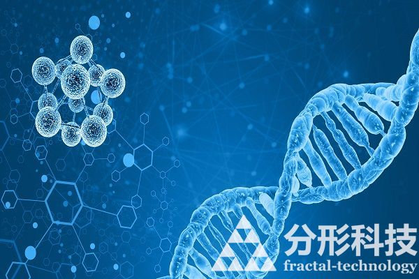 醫院網站建設:打造有溫度的醫患情感連接器 醫院網站建設:打造有溫度的醫患情感連接器